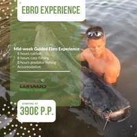 Ebro experience (1)